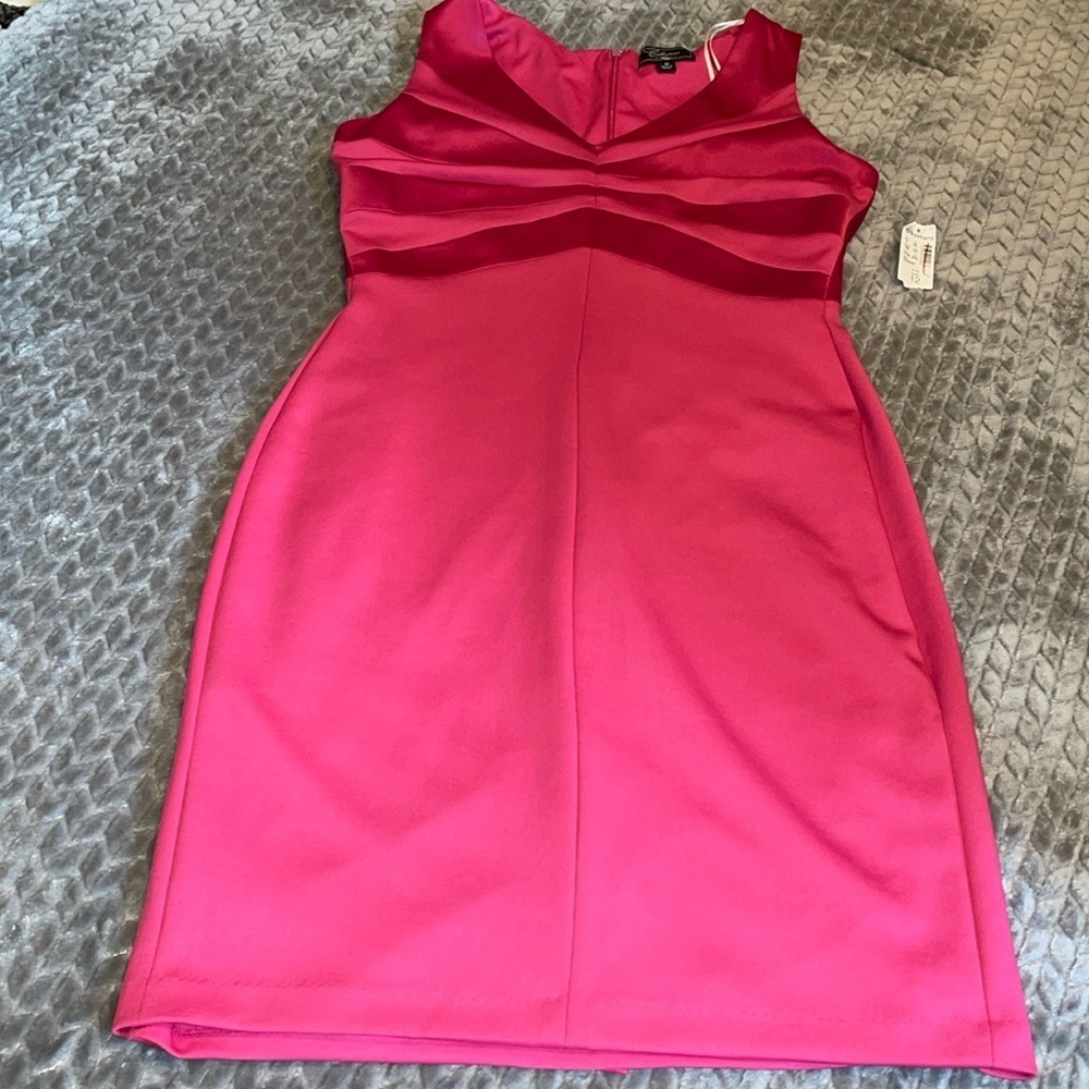 NWT Dressbarn Collection Sleeveless Dress. ‎ Size 12.